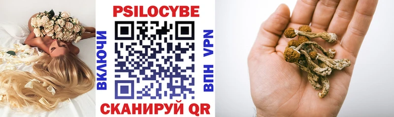 купить закладку  Новосибирск  Псилоцибиновые грибы Cubensis 