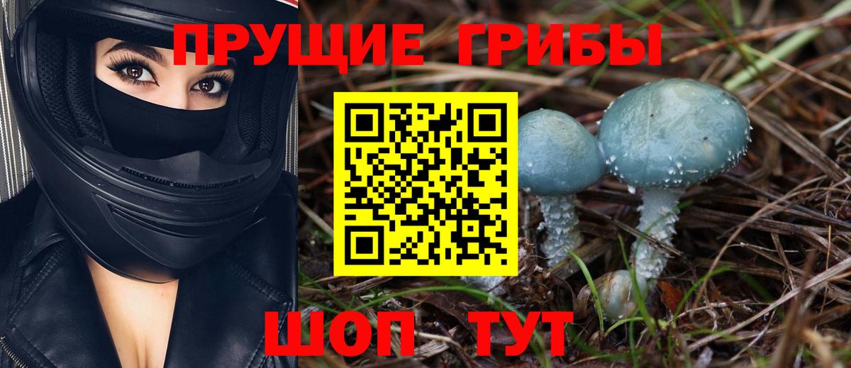 Галлюциногенные грибы Cubensis  Вход с VPN  Россия 