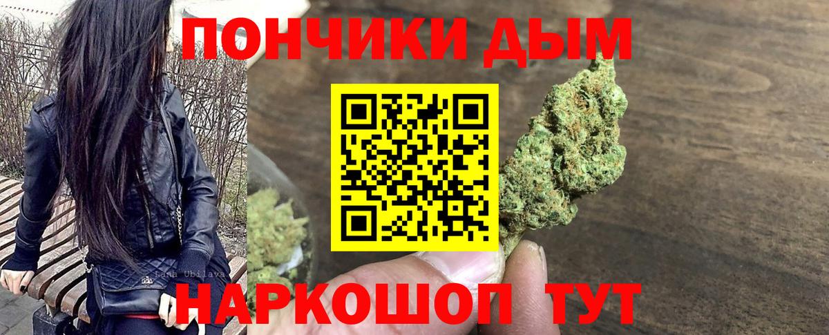 Конопля Bruce Banner  Каннабис гибрид  Россия  Бошки марихуана конопля  Марихуана конопля  Вход с VPN 